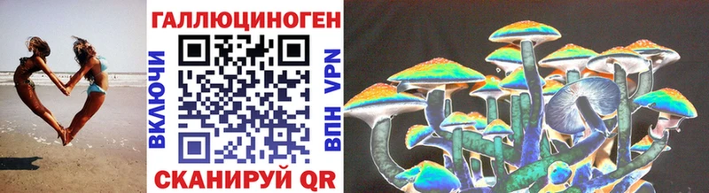 Галлюциногенные грибы Psilocybine cubensis  Белёв 